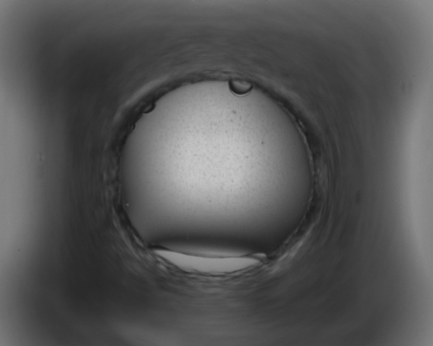 X0000086051494200704131945