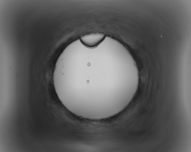 X0000086051495200704131945
