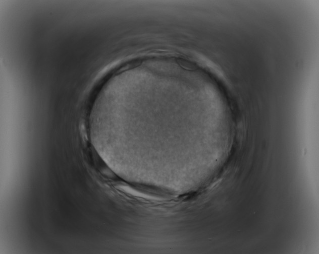 X0000086051496200704131945