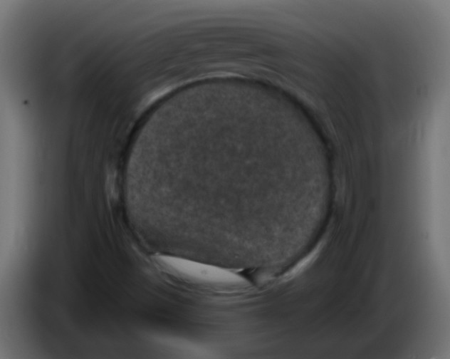 X0000086051497200704131945