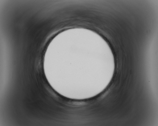 X0000086051498200704131945