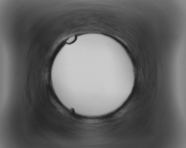 X0000086051499200704131945
