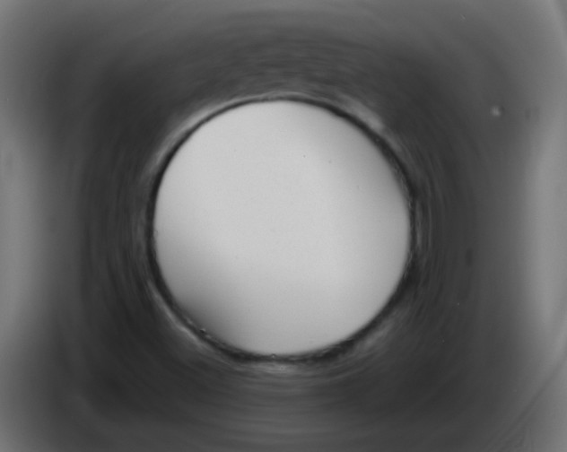 X0000086051500200704131945