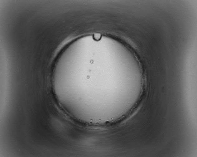X0000086051501200704131945