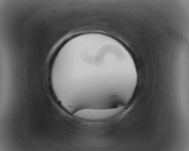 X0000086051502200704131945