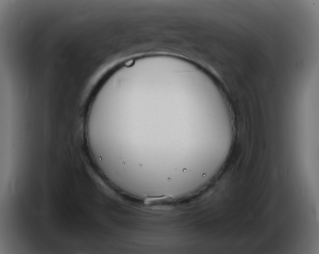 X0000086051503200704131945