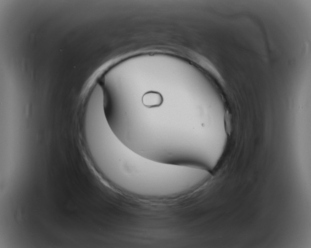 X0000086051504200704131945