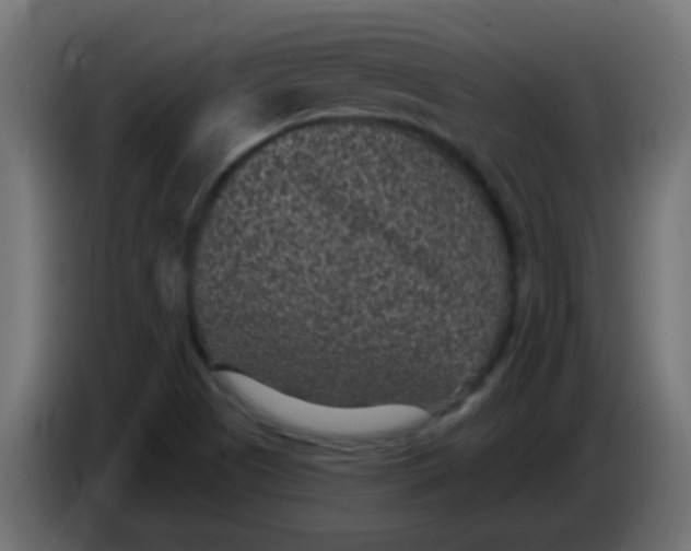 X0000086051505200704131945