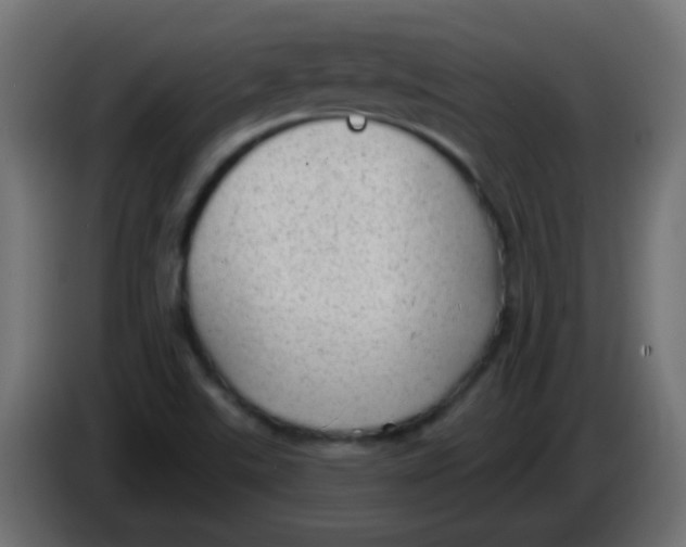X0000086051507200704131945