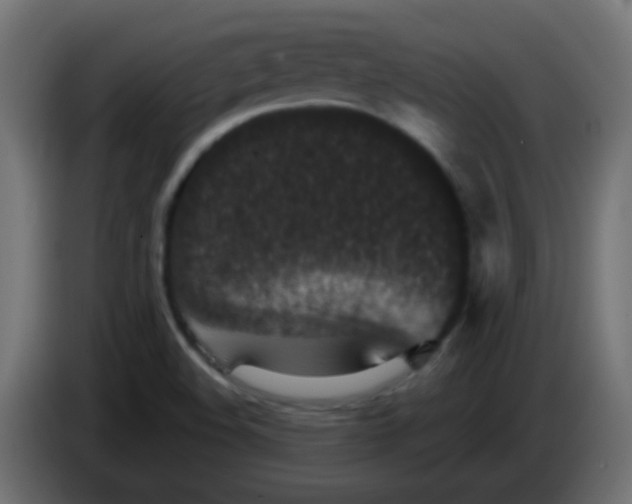 X0000086051508200704131945