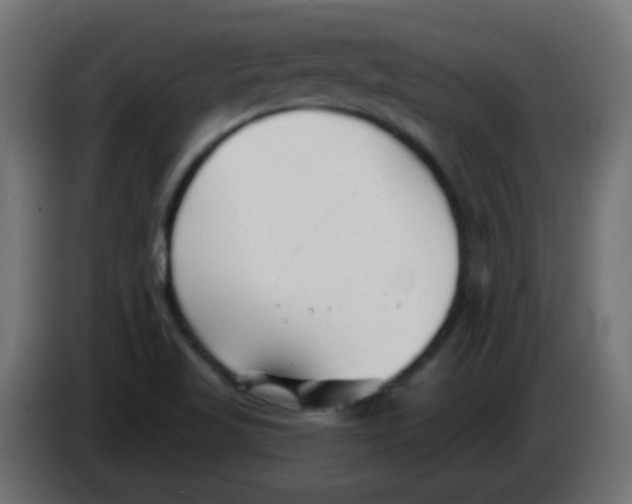 X0000086051509200704131945