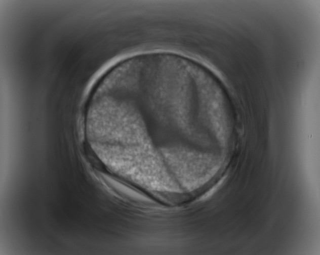 X0000086051510200704131945