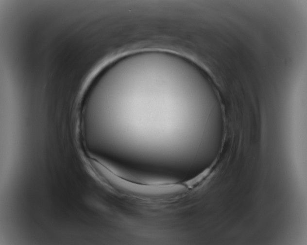 X0000086051511200704131945