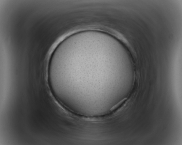 X0000086051512200704131945