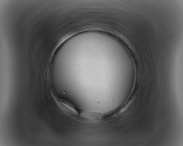 X0000086051513200704131945
