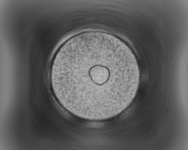 X0000086051514200704131945