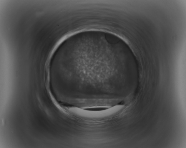 X0000086051515200704131945