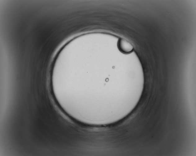 X0000086051518200704131945