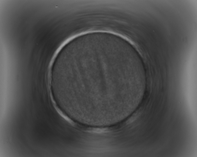 X0000086051519200704131945