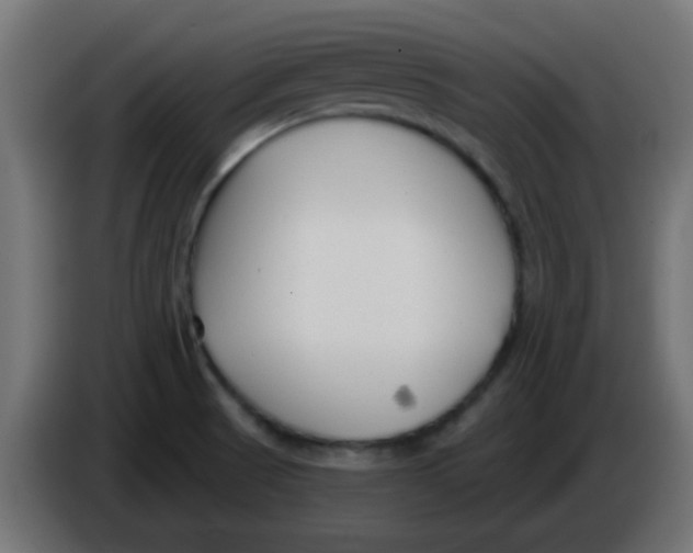 X0000086051521200704131945