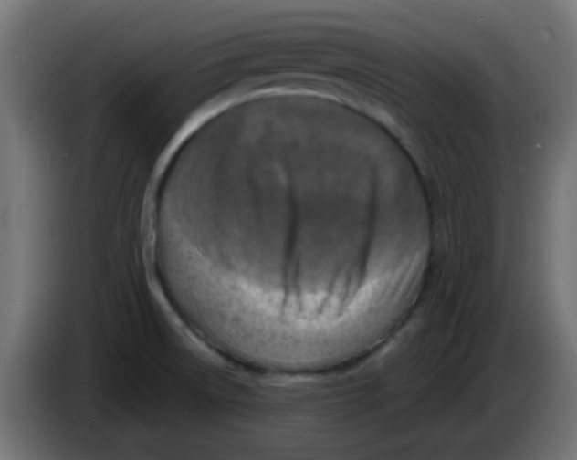 X0000086051522200704131945