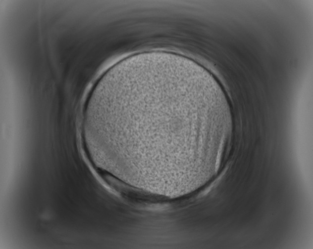 X0000086051525200704131945