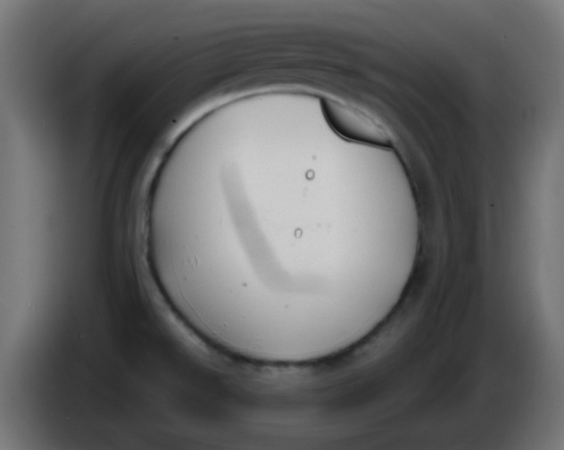 X0000086051526200704131945