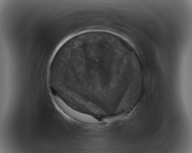 X0000086051527200704131945