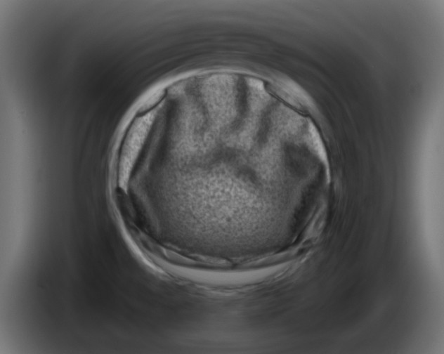 X0000086051528200704131945