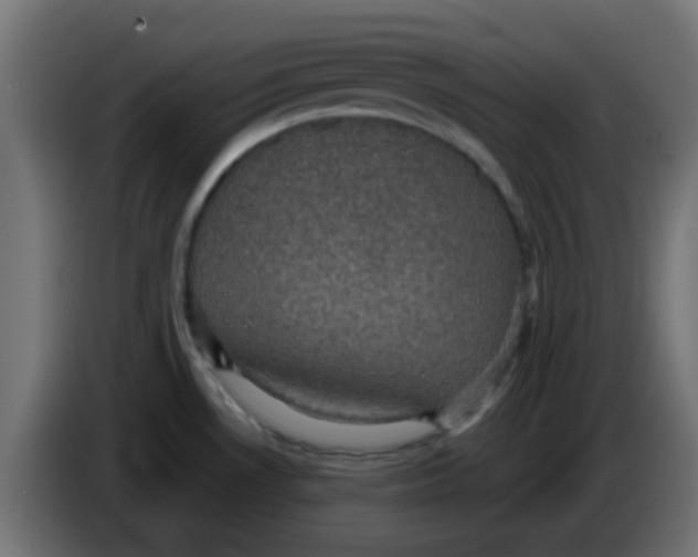 X0000086051530200704131945
