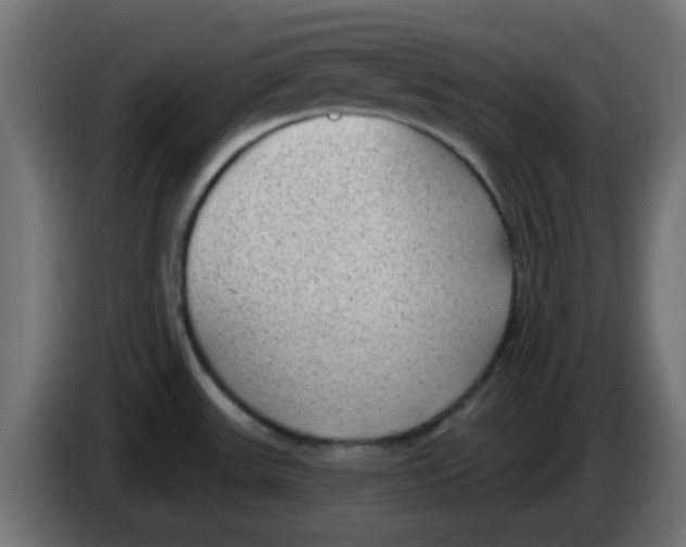 X0000086051531200704131945
