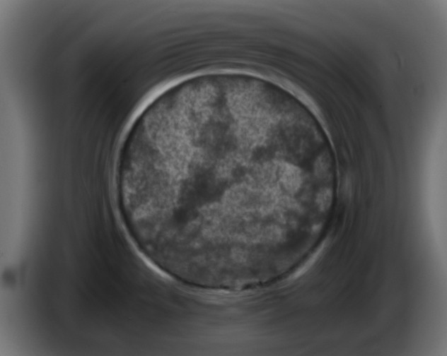 X0000086051533200704131945