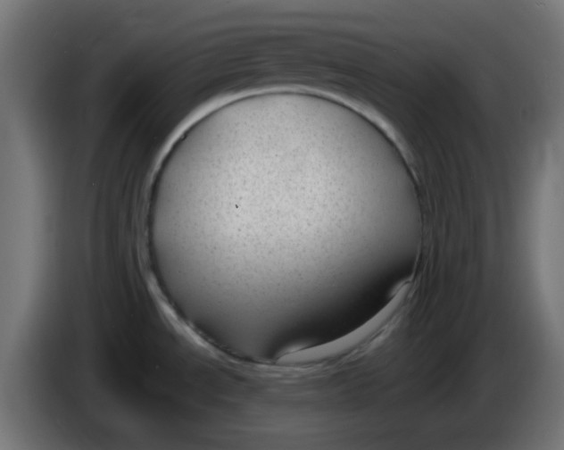 X0000086051534200704131945
