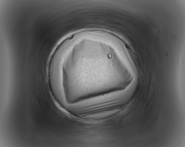 X0000086051535200704131945