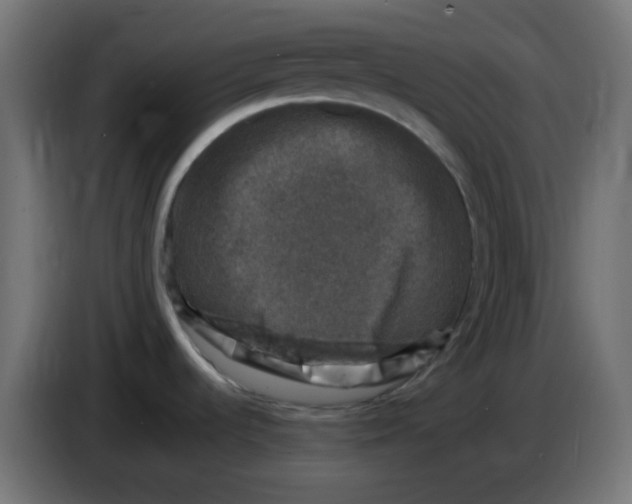 X0000086051536200704131945