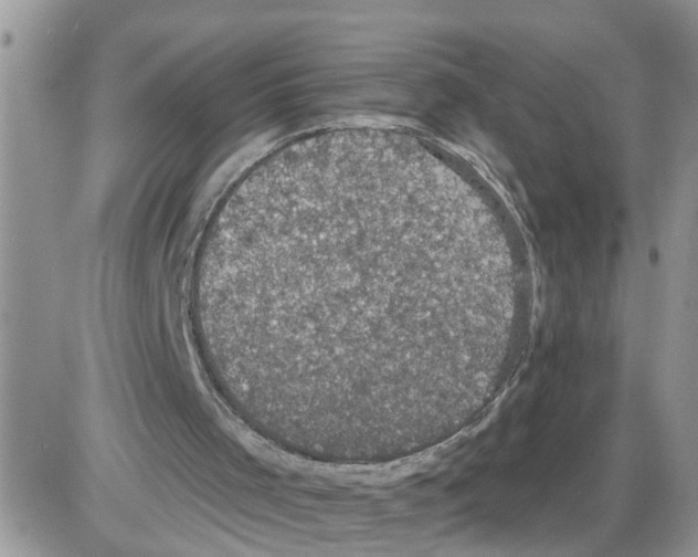 X0000086050001200704202047