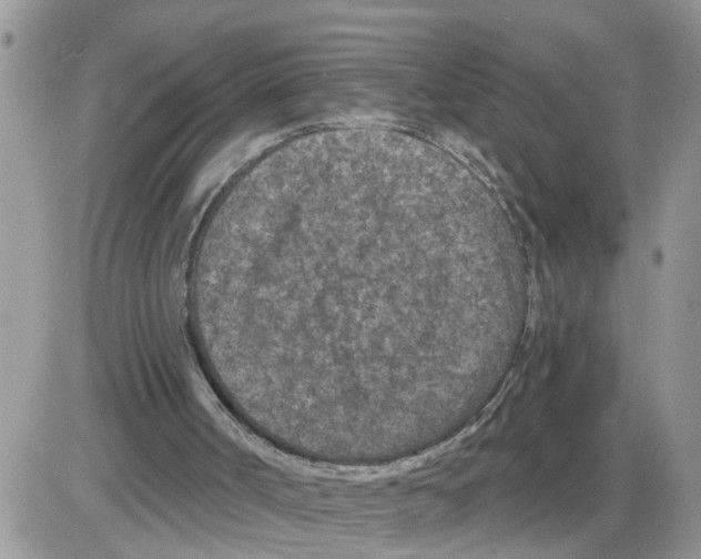 X0000086050002200704202047