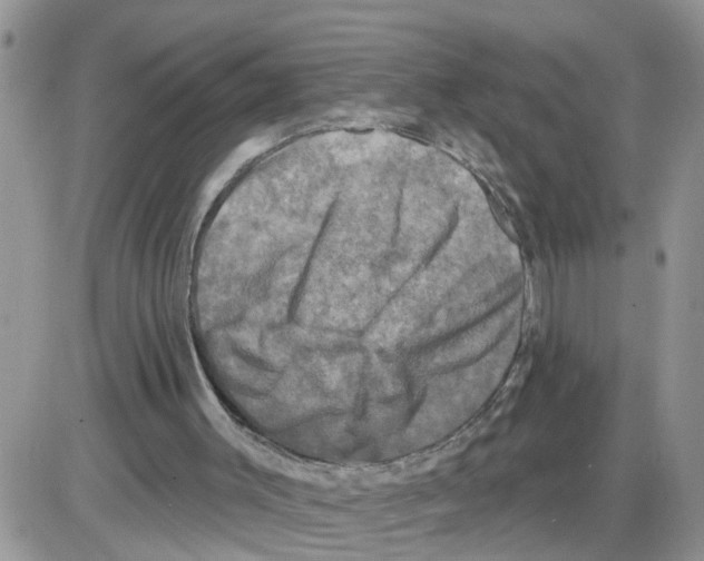 X0000086050003200704202047