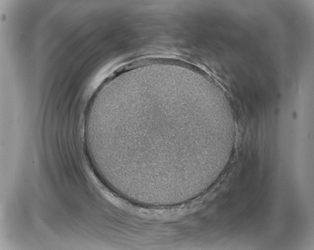 X0000086050005200704202047