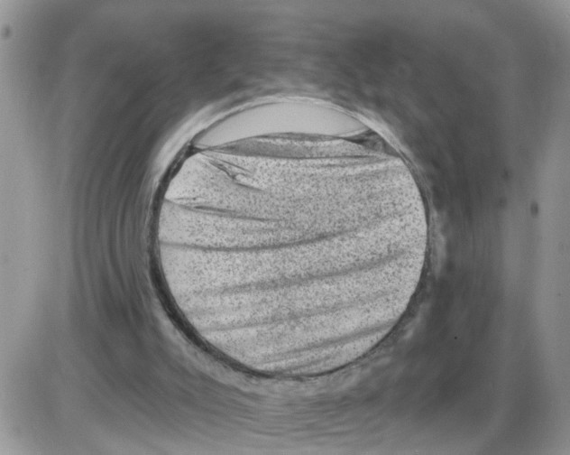 X0000086050007200704202047