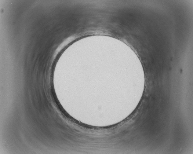 X0000086050008200704202047