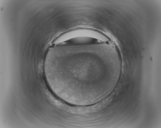 X0000086050009200704202047