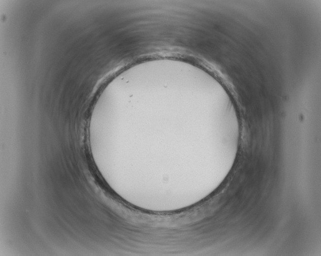 X0000086050010200704202047