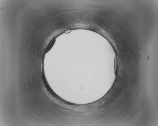 X0000086050011200704202047