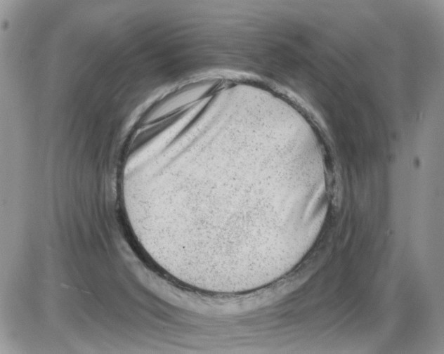 X0000086050015200704202047