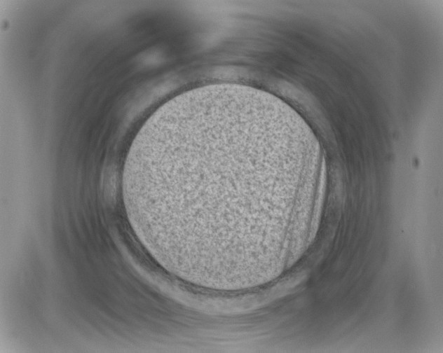 X0000086050016200704202047