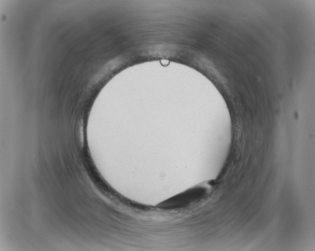 X0000086050020200704202047