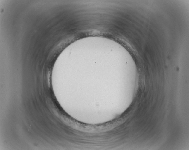 X0000086050022200704202047