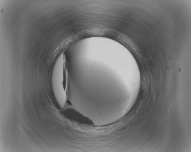 X0000086050023200704202047