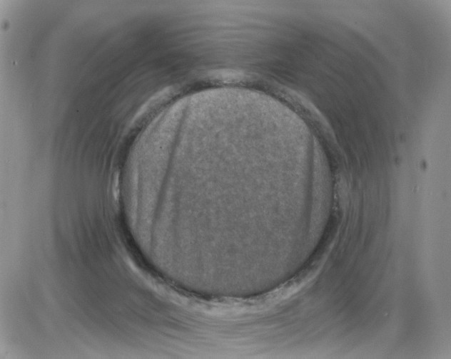 X0000086050024200704202047